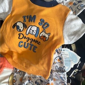 Orange and Gray Dog Graphic Baby Shirt